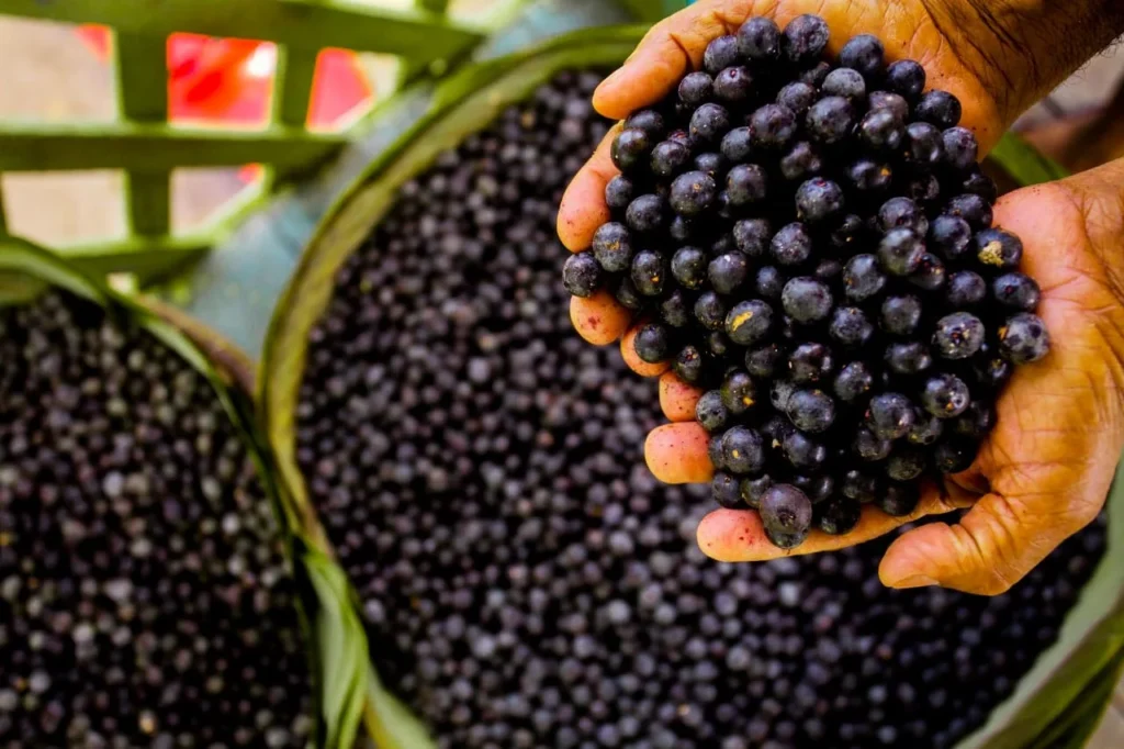 Acai berries
